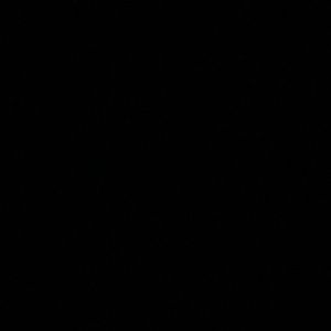 Meet your Posher, Noah